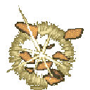 Efekt Raiton:Double Lariat